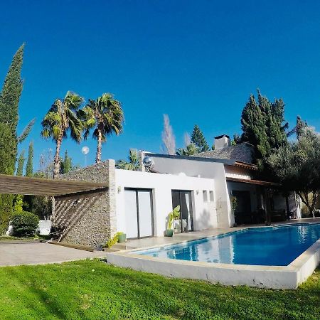 The Stone Villa Pissouri Dış mekan fotoğraf